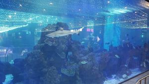 Fish tank in the mall area outside at Qian Yue Ming in Chongqing