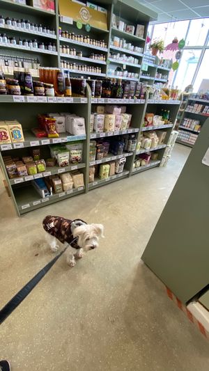 Dog friendly and lots of amazing hard to find products. at Canterbury Wholefoods in Canterbury