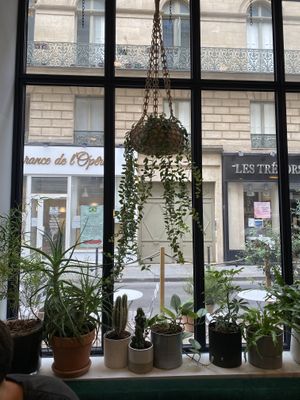 Nice view  at Wild & The Moon - Opéra in Paris