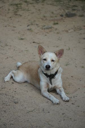   at Dulnetha Homestay & Restaurant in Weligama