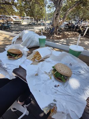  at The Lane in Rottnest Island