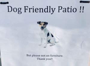 Pet friendly  at The Bean Counter Cafe in Picton