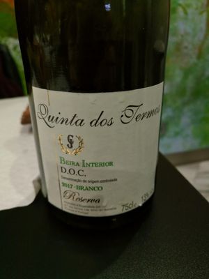 A very good vegan white wine at Casanova in Porto