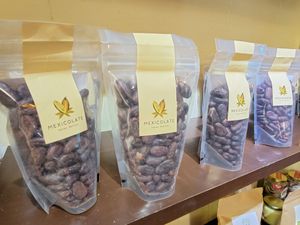 Raw cacao at Mexicolate in Bahia De Banderas