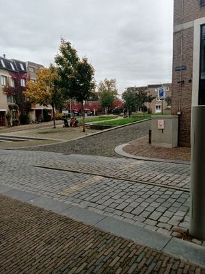 Grassy area very close by where you can also sit outside and have your drinks/food at Bairro Alto in Nijmegen
