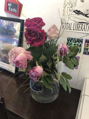 So beautiful  at Happy Zoe Vegan Bakery in Brooklyn