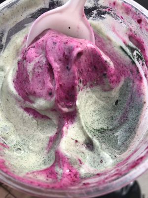 Fruit jungle whip with spiraling at Happy Zoe Vegan Bakery in Brooklyn