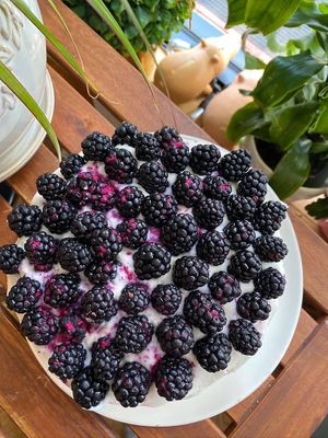 Vegan birthday cakes  at Happy Zoe Vegan Bakery in Brooklyn