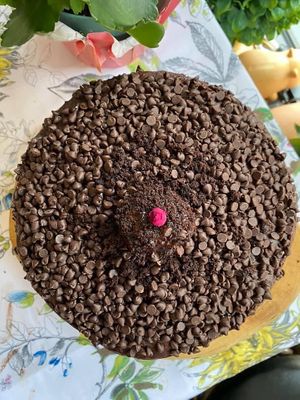 Vegan gluten free birthday cakes  at Happy Zoe Vegan Bakery in Brooklyn