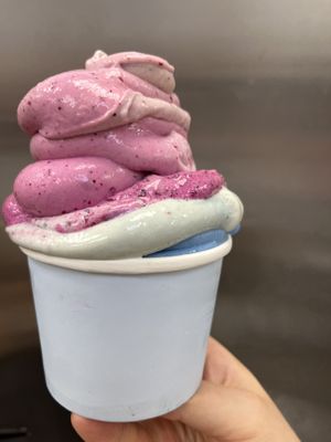 Raw vegan rainbow banana whips! Better than ice cream! No sugar!   at Happy Zoe Vegan Bakery in Brooklyn