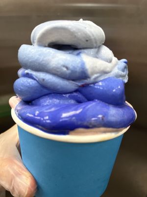 Raw vegan spirulina banana whip   at Happy Zoe Vegan Bakery in Brooklyn