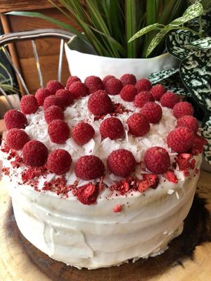 Vegan Birthday Cakes  at Happy Zoe Vegan Bakery in Brooklyn