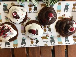 Vegan Gluten Free Donuts  at Happy Zoe Vegan Bakery in Brooklyn