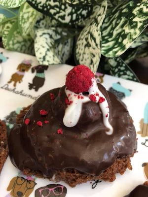 Vegan Gluten Free Donuts  at Happy Zoe Vegan Bakery in Brooklyn