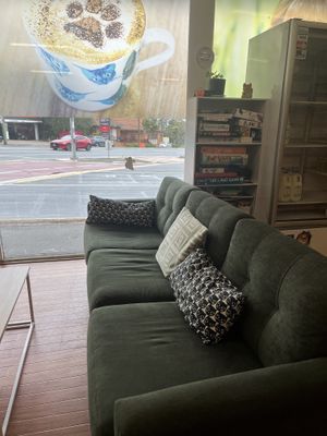 Games and seeing in the cafe   at Lucky Cat Cafe in Annerley