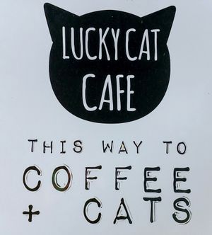 Logo at Lucky Cat Cafe in Annerley