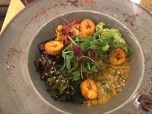 Power Bowl at Comptoir V in North West London