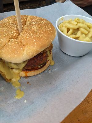 Buffalo sheltonator at Three Carrots - Fountain Square in Indianapolis