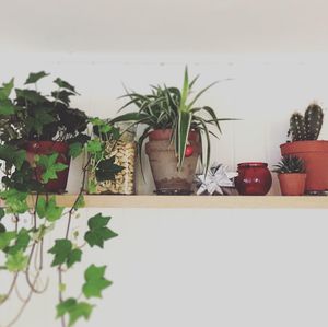 Cosy atmosphere to enjoy a little cake and bubbles :)  at Raw Cakes Copenhagen in Copenhagen