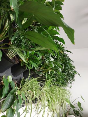  at Kuchnia PoWolność in Poznan