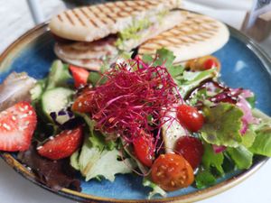 Panini at Plant B in Antwerpen