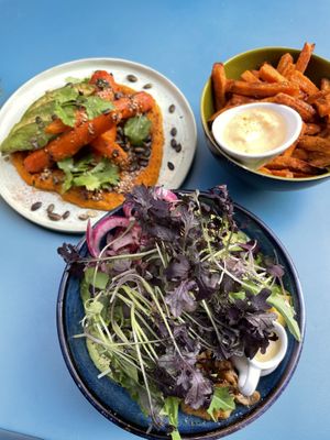   at Plant B in Antwerpen