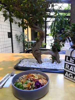 Budha falafel bowl  #Veganuary at YayaRaw in Izmir