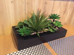 Beautiful arrangement of healthy plants on our table! at Thai Vegan in San Antonio