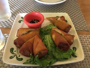 Spring rolls  at Thai Vegan in San Antonio