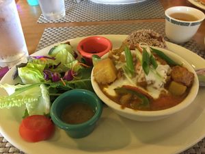 Yellow curry with tofu lunch combo  at Thai Vegan in San Antonio