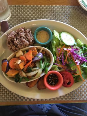 PET, pumpkin eggplant and tofu dinner combo at Thai Vegan in San Antonio