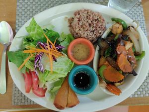 Spicy Eggplant and Tofu Dinner special at Thai Vegan in San Antonio