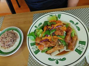 Orange Chicken, served with brown rice at Thai Vegan in San Antonio