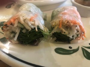 Freshy rolls!!! Yum at Thai Vegan in San Antonio