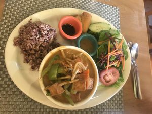 Combo dinner plate with red curry tofu at Thai Vegan in San Antonio