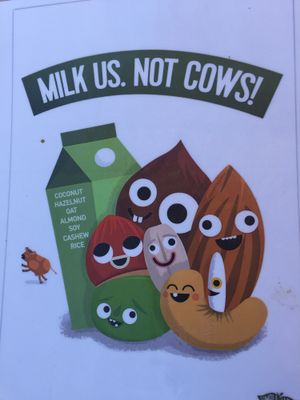 Fun vegan info sheets on the outdoor tables. at Herbivores in Kailua Kona