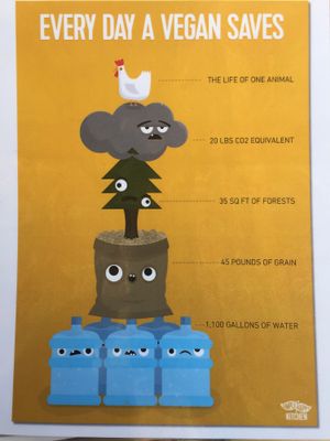 Fun vegan info sheets on the outdoor tables. at Herbivores in Kailua Kona