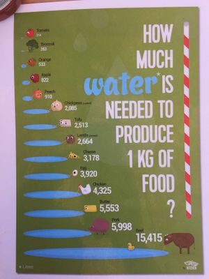 Fun vegan info sheets on the outdoor tables. at Herbivores in Kailua Kona
