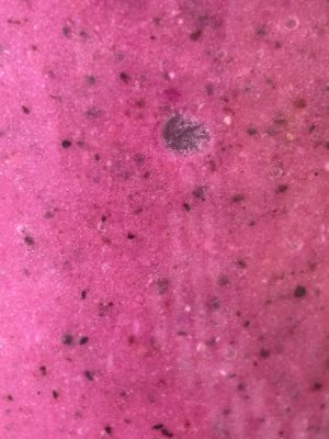 Dragonfruit smoothie   at Herbivores in Kailua Kona