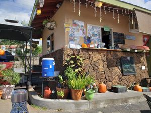 Outdoor seating at Herbivores in Kailua Kona
