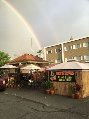 Vegan pot of gold  at Herbivores in Kailua Kona
