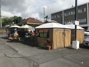 Restaurant  at Herbivores in Kailua Kona