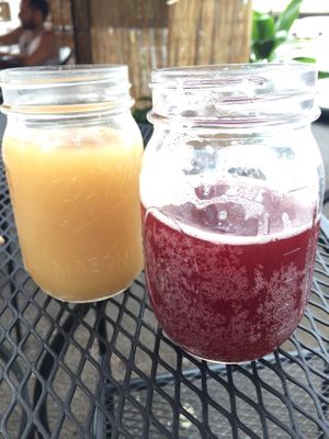 Kombucha on tap at Herbivores in Kailua Kona