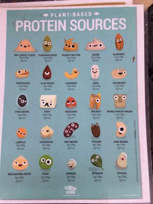 Informational pamphlets  at Herbivores in Kailua Kona