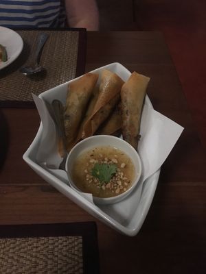 Amazing spring rolls  at Goodsouls Kitchen in Chiang Mai