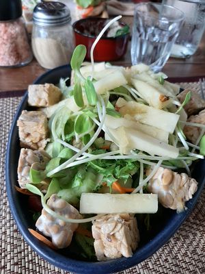 Tempeh salad... Tempeh is raw, has too much cucumber. Not my favorite at Goodsouls Kitchen in Chiang Mai