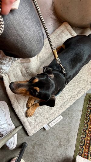   at Het Strand - The Strand in Leuven