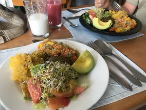 Meal of the day: salad, avocado, quinoa and mixed veggies, mashed potato with plantain and a little falafel patty. at El Arbol de la Vida - Maybe closed in Medellin