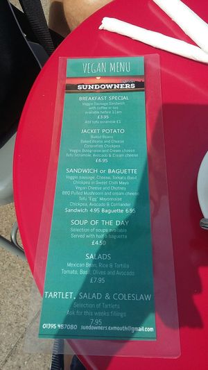 Vegan menu - August 2018 at Sundowners in Exmouth