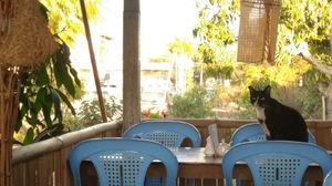 Upstairs  at Paw Paw in Nyaungshwe